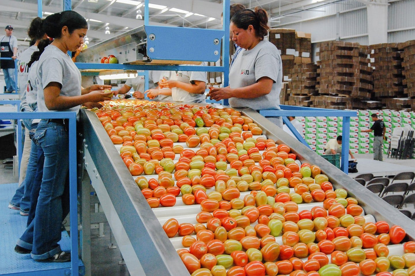 Alcanza México su 7o. año consecutivo con supéravit agroalimentario