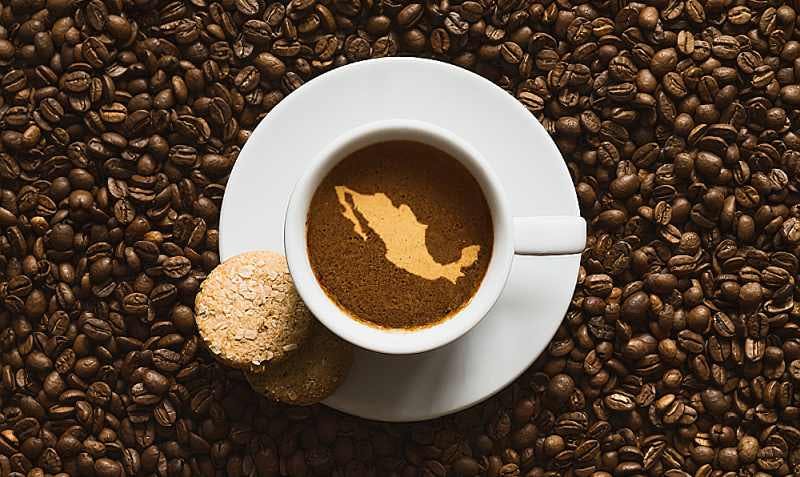 Café Mexicano Conquista el Paladar Chino: Exportaciones en Auge