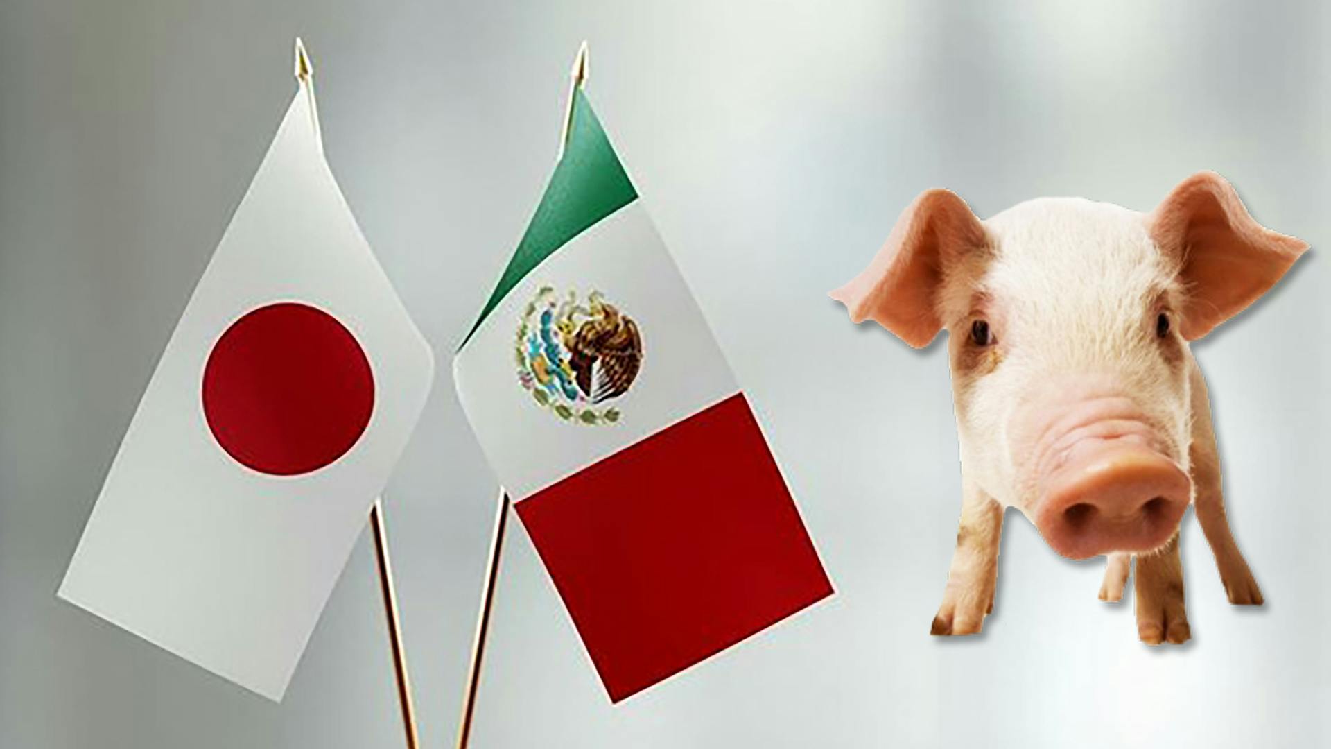 El gobierno de Japón mantiene las importaciones de carne de cerdo mexicana durante la crisis sanitaria global