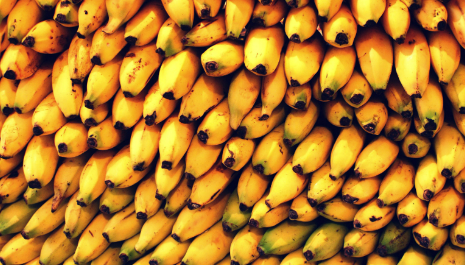 Éxito Exportador: Plátano Mexicano Conquista Mercados de EU, Japón y Canadá