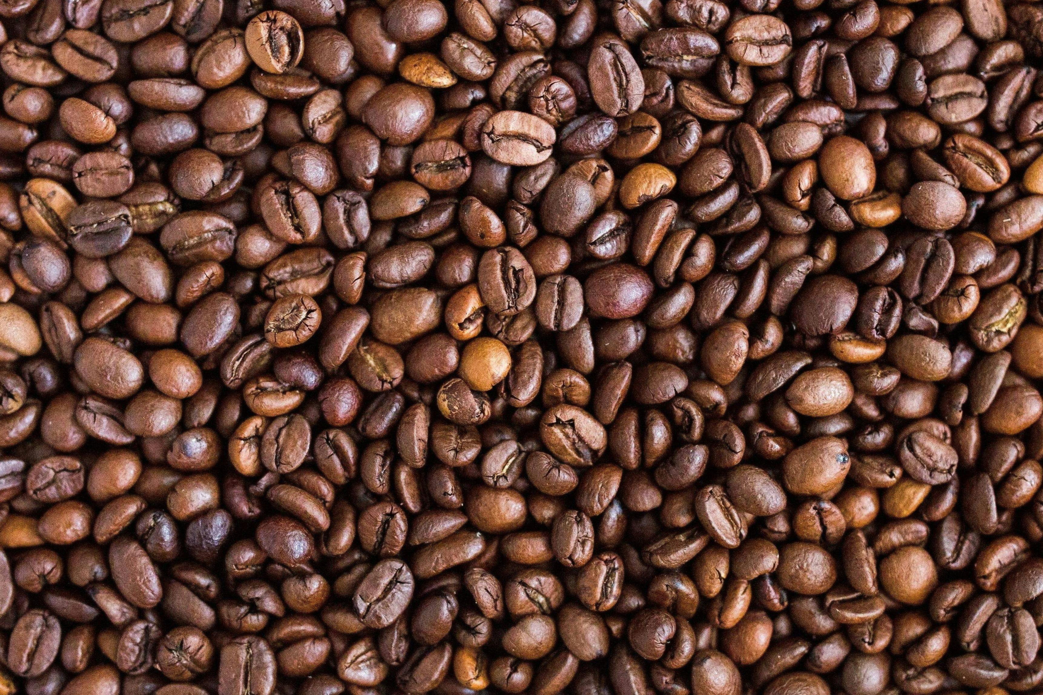 Exportaciones de café mexicano en su mejor nivel desde 2013