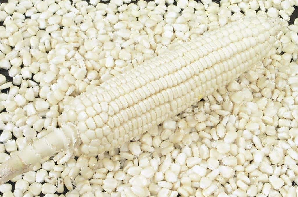 Gobierno de México establece arancel del 50% para importación y exportación de maíz blanco