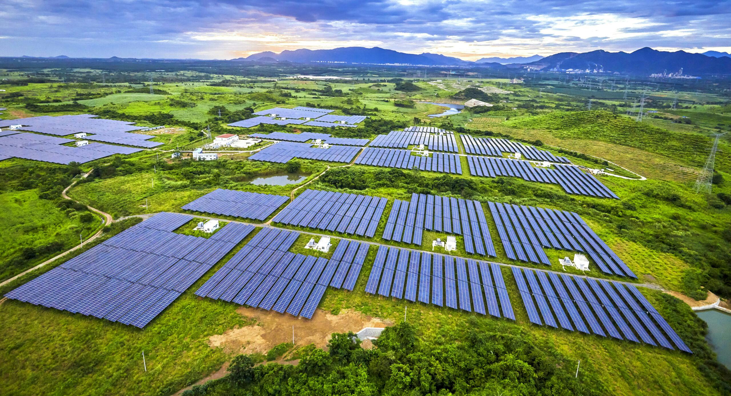 IER-UNAM y Solarever Desarrollan Tecnología Agrovoltaica para Impulsar Sectores Productivos en México
