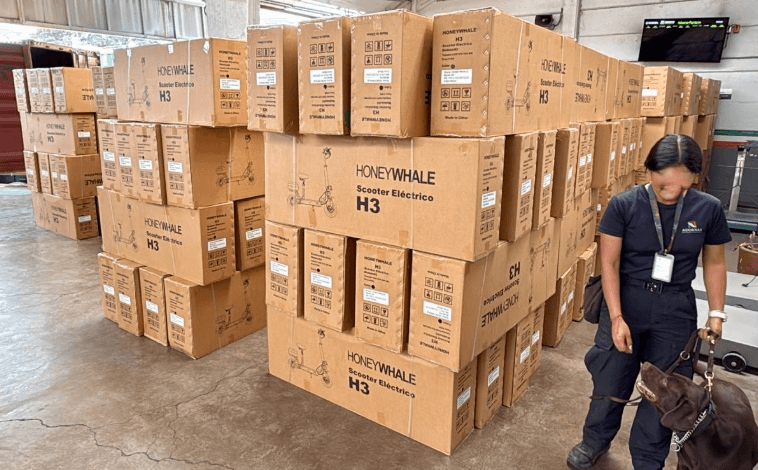 Aduanas mexicanas rompen récord en decomisos de productos pirata