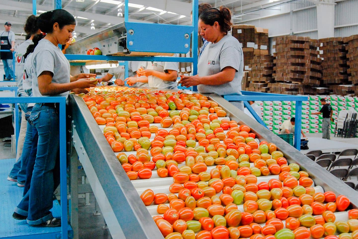 Alcanza México su 7o. año consecutivo con supéravit agroalimentario