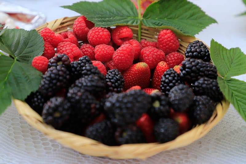 Aumentó 8.78 % exportación de frutillas mexicanas a 38 países 
