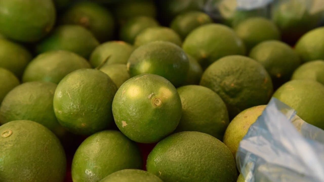 Cítricos del México para el mundo; exportaciones crecen 28% SADER