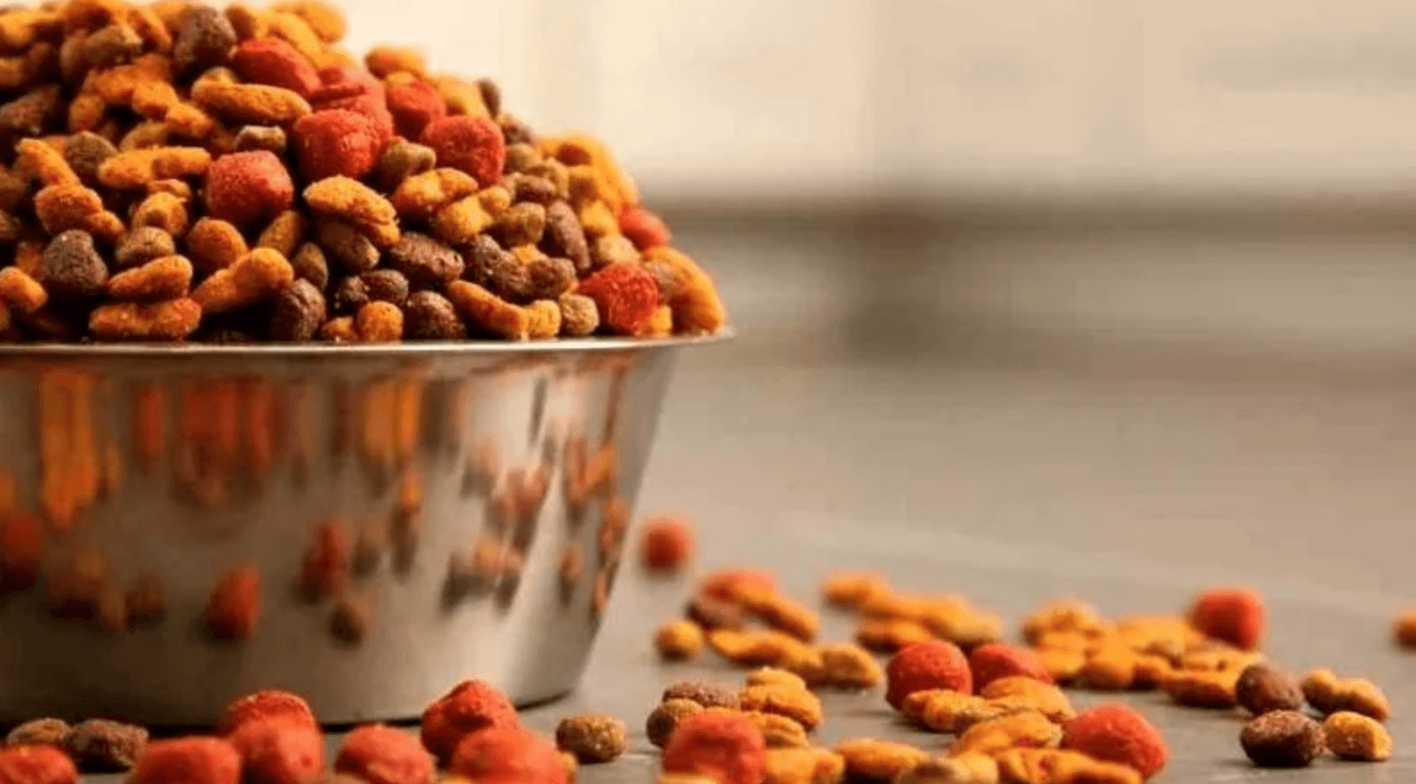 Incrementan exportaciones en alimento para mascotas