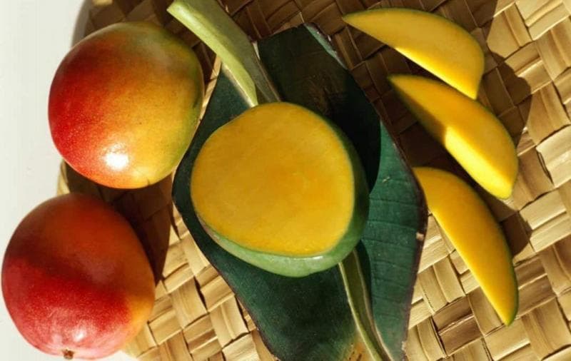 La Dimensión Internacional del Mango en México y Latinoamérica  