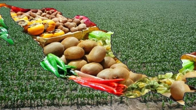 México aumentará exportaciones de alimentos para Europa 