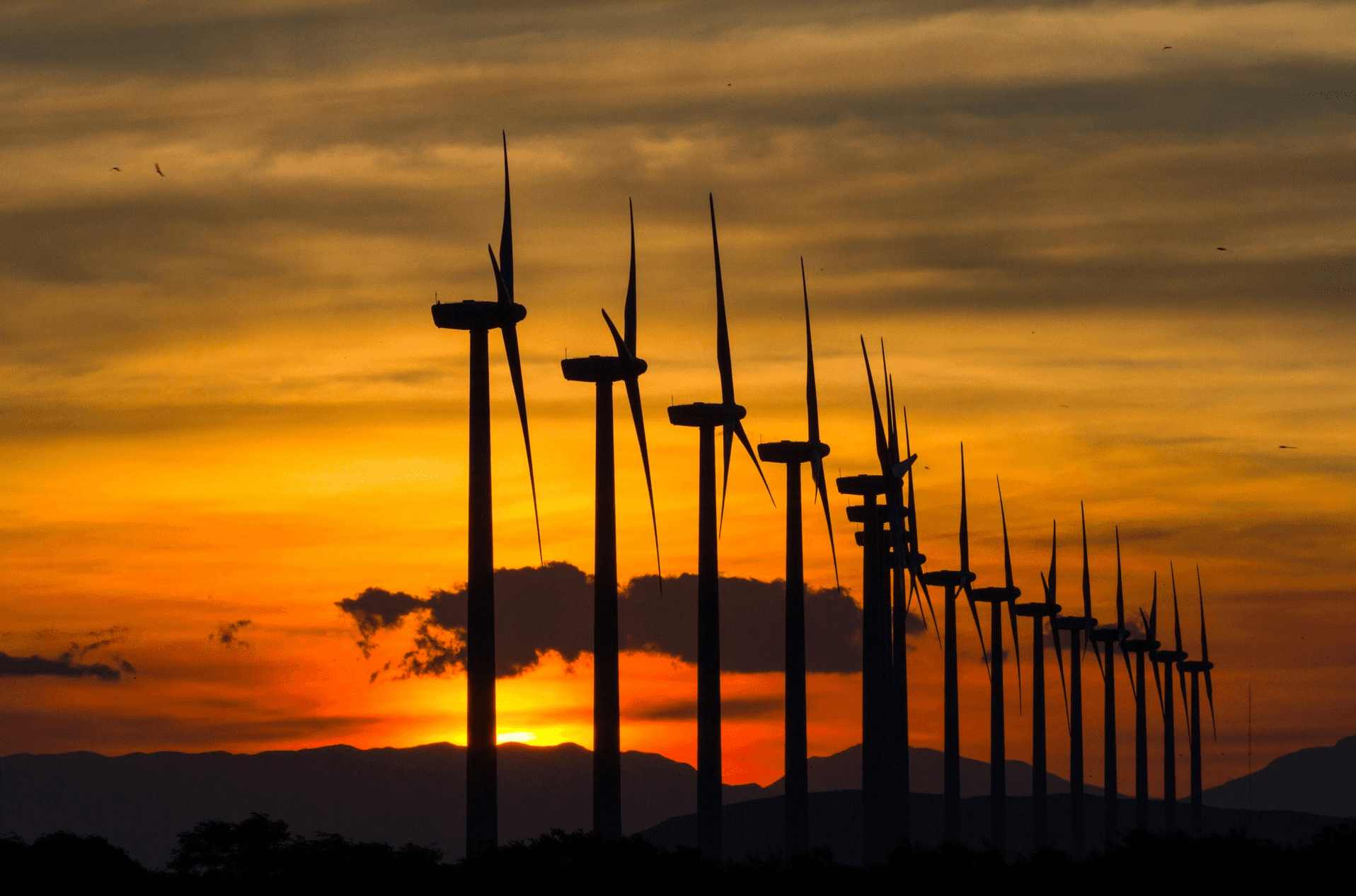 Reforma eléctrica  de AMLO frenará comercio exterior